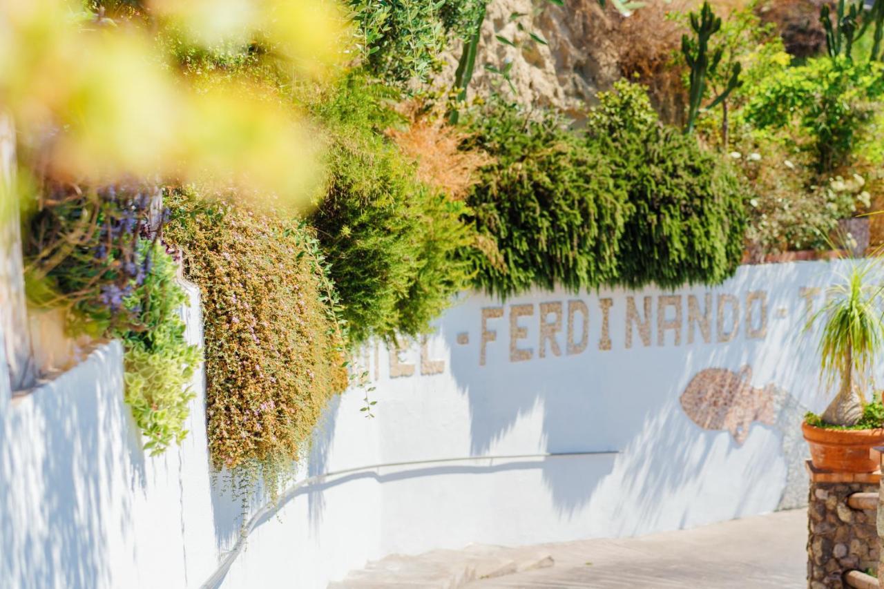 Hotel Ferdinando Beach & Thermal Spa Sant'Angelo  エクステリア 写真